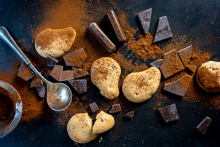 cookies and pieces of chocolate sprinkled with cocoa powder on a black background. top viewの写真素材