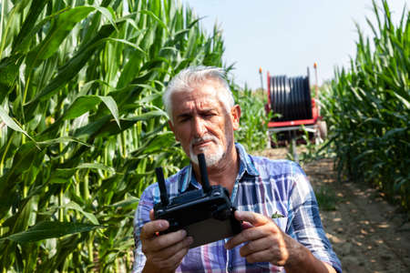 modern technological farmer analyzing the growth of corn by flying a drone over his cultivated fields. concept of sustainable exploitation of natural resources.の写真素材