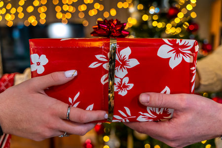 two young lovers exchange christmas gifts on holy night - concept of christmas atmosphere