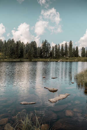 small beautiful lake surrounded by pine forests on the spectacular Italian Alps -concept of summer holidays in the mountainsの写真素材