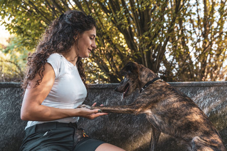 beautiful female instructor hugs her dog during a training break - concept of love for animals