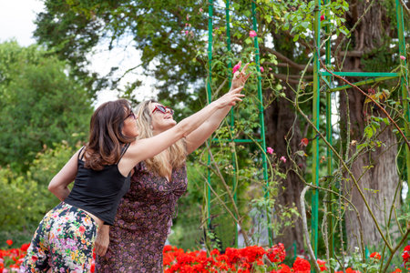 two beautiful middle aged girlfriends visiting a garden full of flowers in france - vacations...