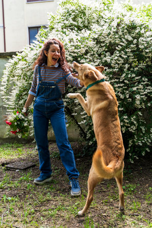 beautiful smiling woman with red hair playing with her dog jumping in front of a tree with white flowers outdoorsの写真素材