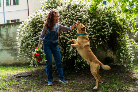 beautiful smiling woman with red hair playing with her dog jumping in front of a tree with white flowers outdoorsの写真素材