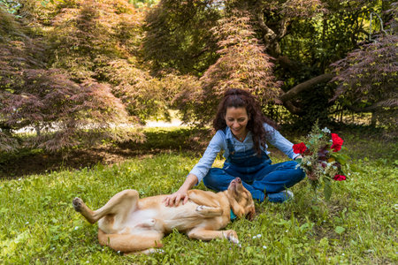 middle aged woman enjoying happy moments with her dog lying in the grass of a parkの写真素材