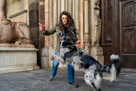 Woman and dog enjoying playful interaction outdoors, reinforcing their bondの写真素材