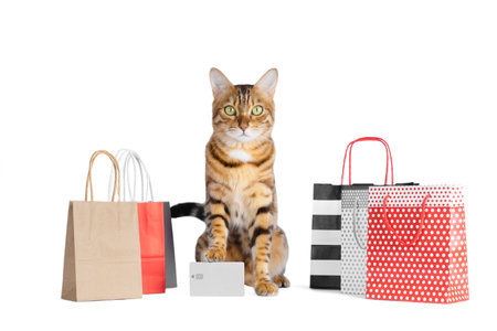 The cat, holding a credit card in one paw, sits among the packages. shopping.の写真素材