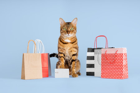 Cat with shopping bags ready for discount and sale in the mall, isolated on blue backgroundの写真素材