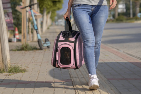 A domestic cat sitting in a cat carrier being carried along the pavement by a girl. Transportation of pets.の写真素材