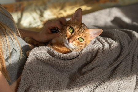 A girl with her pet lie in bed. The cat looks into the camera.の写真素材