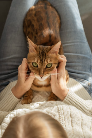 The girl caresses the domestic cat. view from above.の写真素材