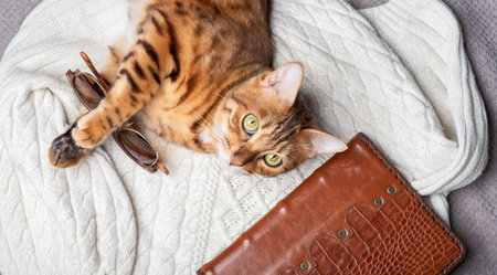 Ginger cat lying on a white sweater with a leather-bound diary. view from above.の写真素材