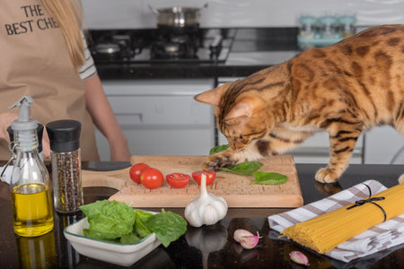 Domestic cat plays with vegetables on the kitchen table.の写真素材