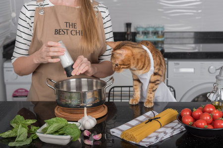 The cat and its owner in aprons cook food together in the home kitchen. Domestic cat watches how the girl salts the food.の写真素材