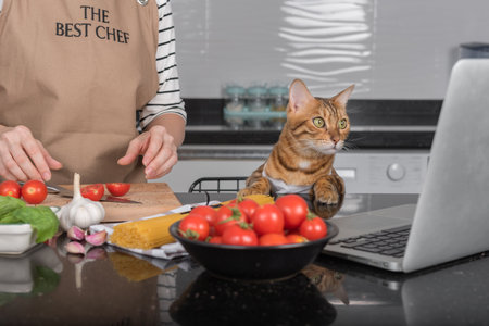 A domestic cat and her owner prepare food by looking at a recipe in a laptop.の写真素材
