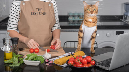 A domestic cat and her owner prepare food by looking at a recipe in a laptop.の写真素材