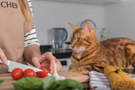 The cat and her owner prepare pasta with cherry tomatoes and basil. The cat lies on the kitchen table and watches the cooking.の写真素材
