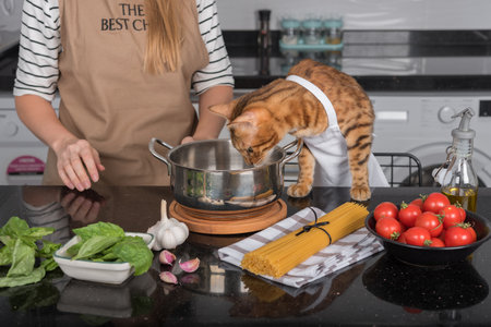 The cat and her owner prepare pasta with cherry tomatoes and basil. The cat looks into the pot.の写真素材