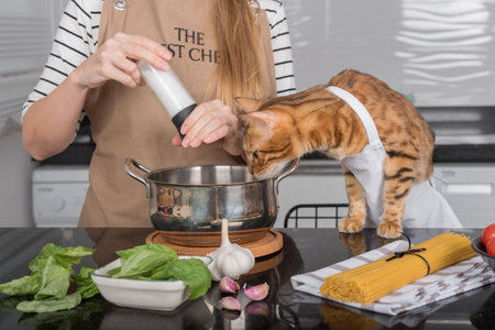The cat and its owner in aprons cook food together in the home kitchen. Domestic cat watches how the girl salts the food.の写真素材