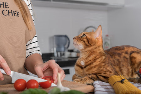 The cat and her owner prepare pasta with cherry tomatoes and basil. The cat lies on the kitchen table and looks at its owner.の写真素材
