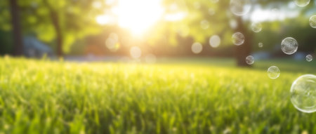 Beautiful blurred background of a green park at dawn. blurred image.の写真素材