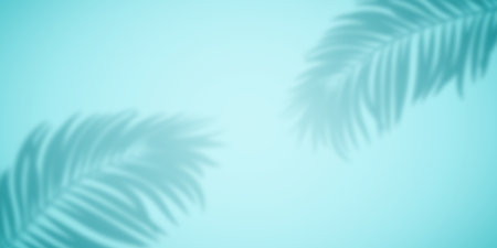 Realistic shadow from palm leaves on a turquoise background.の写真素材
