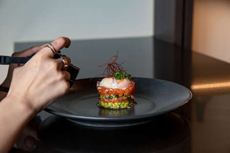 Salmon tartare with raw egg in the kaiseki fine dining Japanese restaurant, with a fine black plate in black scene backgroundの写真素材