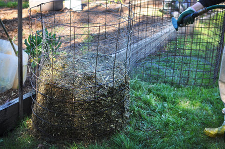 Use water hose watering a compost mulch pile, preparing it for composting