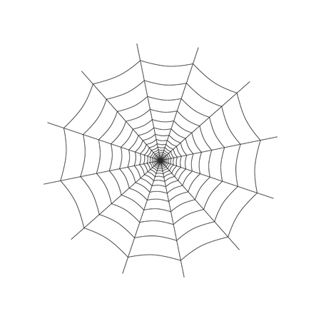 Spider web icon sign on white backのイラスト素材