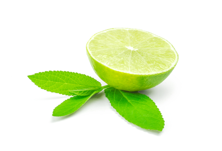 Slice of lime citrus fruit isolated on white background.の写真素材