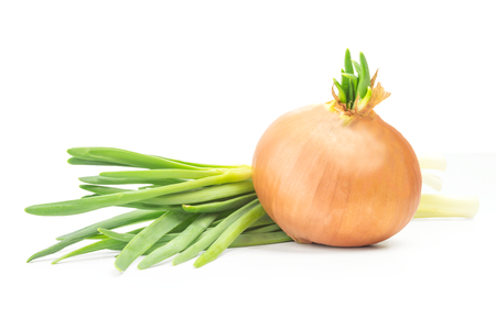 Fresh bulbs of onion on a white background and green onions.の写真素材
