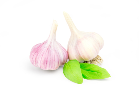 two heads garlic isolated on white background.の写真素材