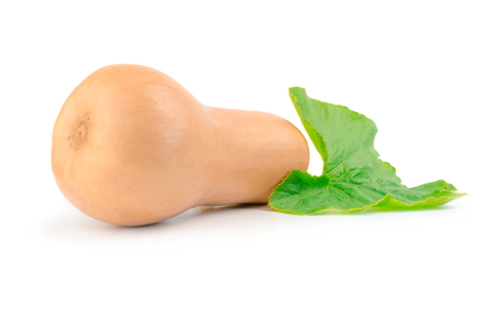 Fresh pumpkin with leaf on a white background.の写真素材