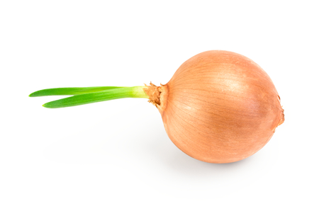 gold onion bulb on white background cutout.の写真素材