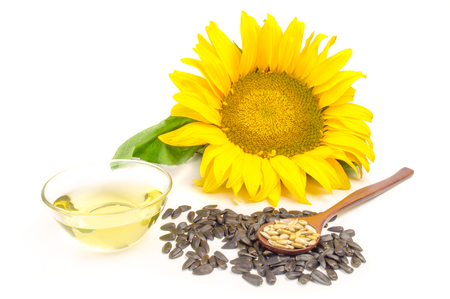 sunflower with oil and seeds on a white background.の写真素材