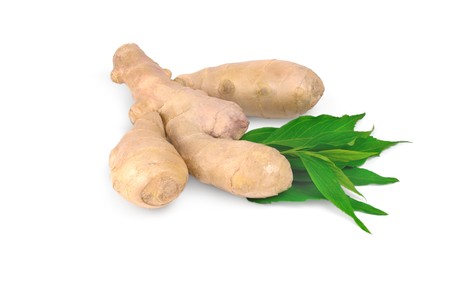 Ginger with leaf on a white backgroundの写真素材