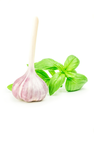 fresh garlic and Basil on white background.の写真素材