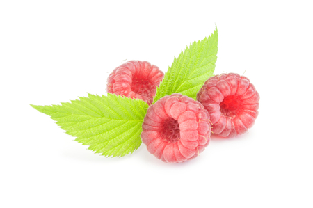 Raspberries with green leaves on white background.の写真素材