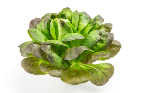 Lettuce isolated oisolated on white background cutoutの写真素材