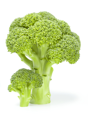 Fresh raw broccoli isolated on a white background cutoutの写真素材