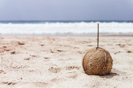 Drinking fresh coconut on a beach vacation.の写真素材