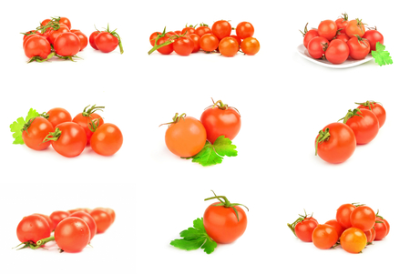 Collage of tomatoesの写真素材