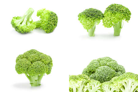 Set of broccoli floret isolated over a white backgroundの写真素材