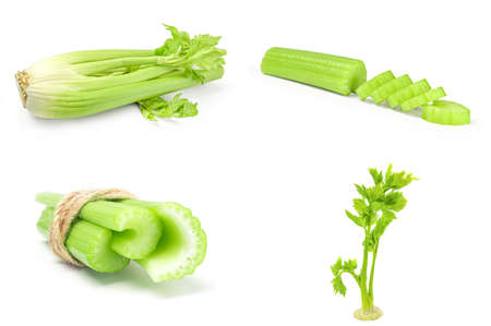 Set of celeriac on a isolated white backgroundの写真素材