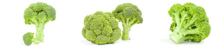 Collection of broccoli floret isolated on a white background cutoutの写真素材