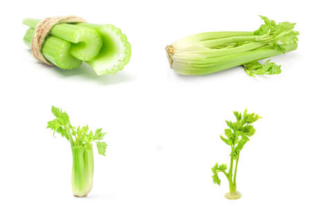 Group of celeriac isolated on a white background cutoutの写真素材