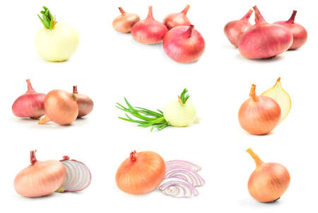 Collage of Onion isolated on a white background cutoutの写真素材