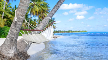 Empty hammock between palm trees on tropical beachの写真素材