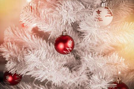 Decorated Christmas treeの写真素材