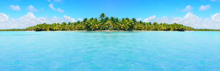 Caribbean Beach and Palm trees.Paradise. Vacation and Tourism concept.